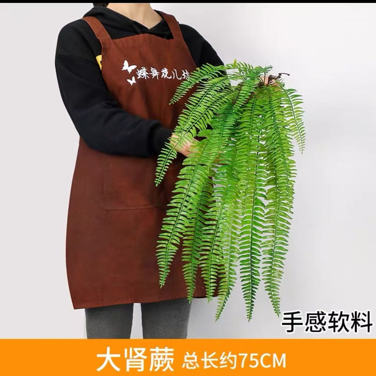 Big kidney fern
