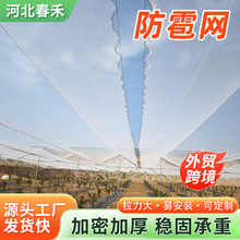 �羳  �����η����W���Ҙ����ѹ��@���ܼӺ�ȫ���Ͼ���ϩ�������W