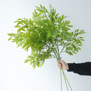 �������z������ٻ��Ҿӻ�c�b[���Gֲ·���߼��г�Ʒ���滨