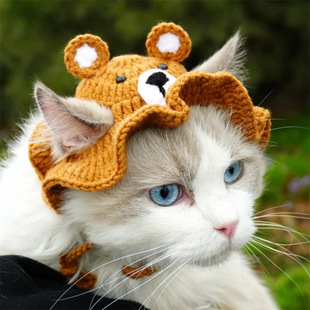 Amazon Cross-Border New Pure Handmade Crocheted Pet Bear Ear Hat Set Cute Cat and Dog Universal Hat