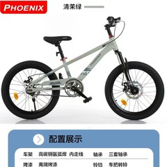 鳳凰の子供の自転車の男の子の女の子の6-12歳の子供のディスクブレーキの単速の山地の自転車の小学生の車