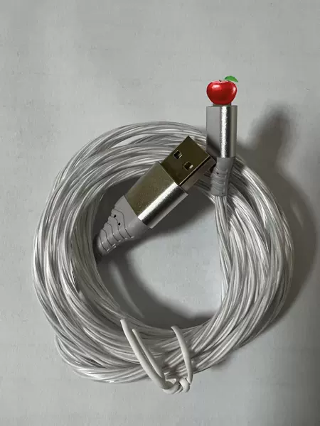 (2 meters) Apple streamer