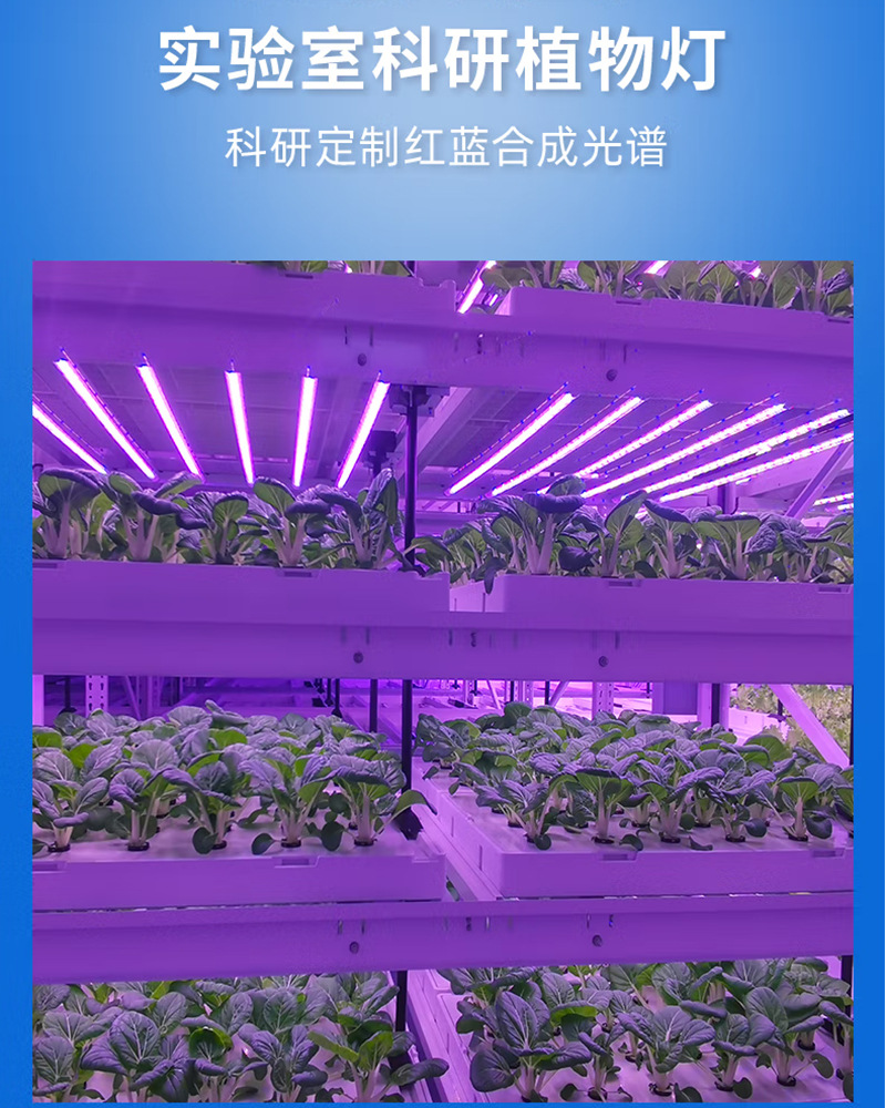 跨境热销全光谱led植物生长灯大棚蔬菜育苗水培绿植多肉补光灯管-阿里巴巴