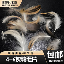 �S��ֱ�N 4-6����ëƬˮϴ�ߜغ�ɻ���ëƬ��춱���ɳ�l��о���|