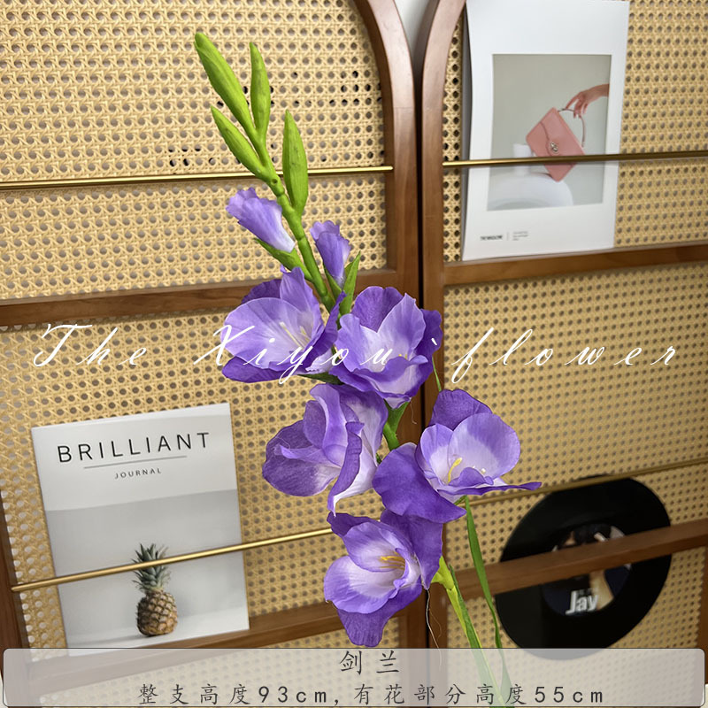 글라디올러스-보라색