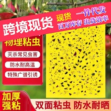 �p��ճ�x�S���T�x������Ә�Ϲ���ωᘷ�ճ�nω�Nճ�x���E�R�@��