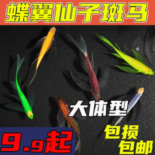 �����Lβ���R�~�����^�p�~��̖���������R�~�ǹ������P��ˮ��ˮ