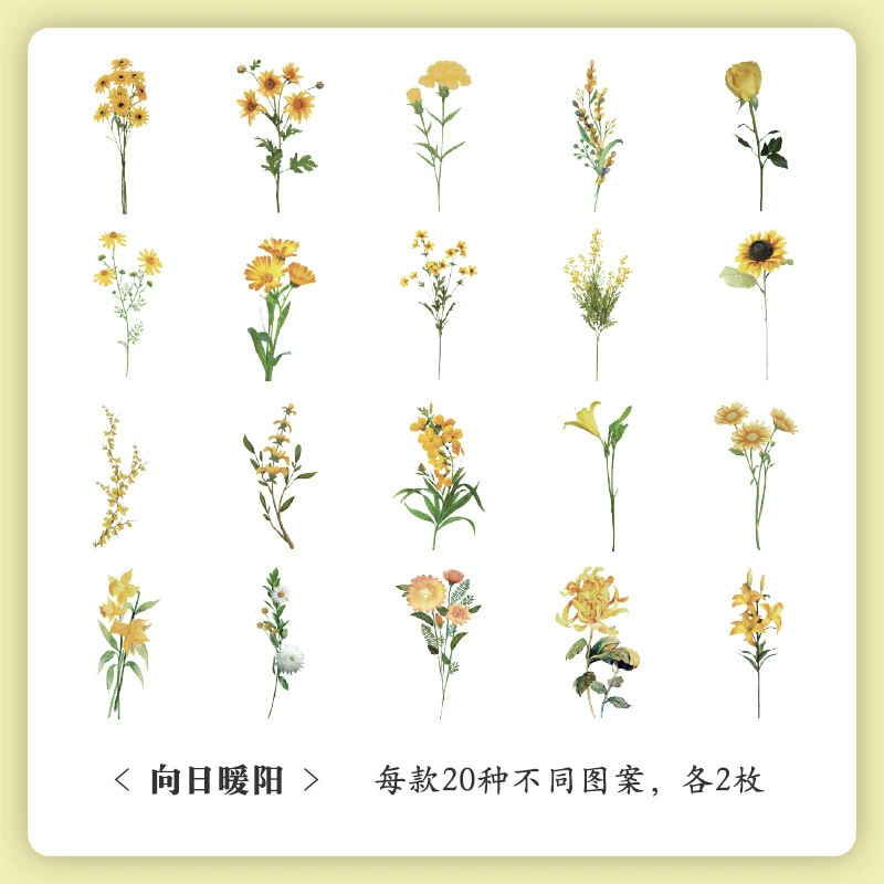 Sticker Set, 40-Sheet Assortment, Butterfly & Floral Designs for Kids' Bags and Planners