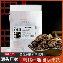 代用/养生茶;其他干货;其他果干蜜饯
