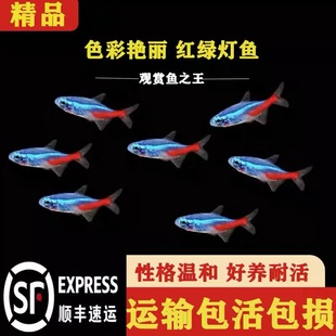 �Ꭷ�~С���^�p�~��ˮ�~�t�G�����R�~��ȸ��β��С���~���B�ͻ�