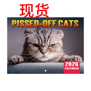 Cross-Border New Product 2026 Pissed-Dff Cats Angry Cat Calendar Wall Horse Riding Nail Calendar Ready for Sale