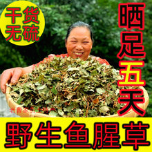 2025年新货无硫切断鱼腥草干野生农家干货恩施折耳根1斤晒干切断