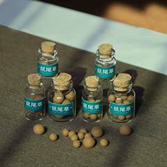 迎香緣 鼠尾草香丸 淨化空間美國加州進口白鼠尾草植物車載香薰