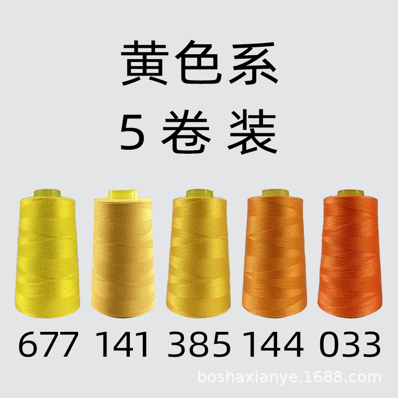 노란색 계열 5롤 묶음