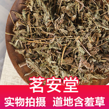 ���l��ș��ɢ�b500g���߲� �F؛�����t���o ���߲� ���߲� �Б���