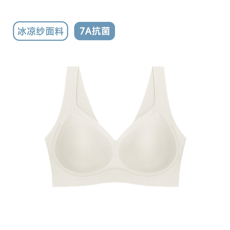 쿨 스타일 - 샴페인