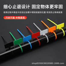 ��ɫ�����������iʽ 늾�����R������ �}���̳���ӛ��������