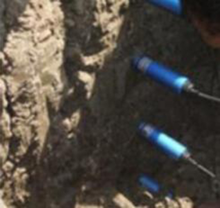 ZXX供土壤水分传感器澳大利亚 型号:DD16-MP406库号：M386092