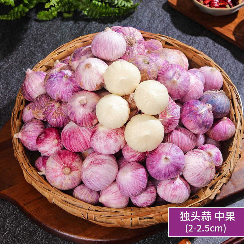 250g-단일 마늘-작은 과일(2.0-2.5cm)