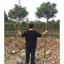 һ�����l���� ��� ��ɰ�� ���¹� ��ͥ�@ˇ˽�һ��@�� ����С