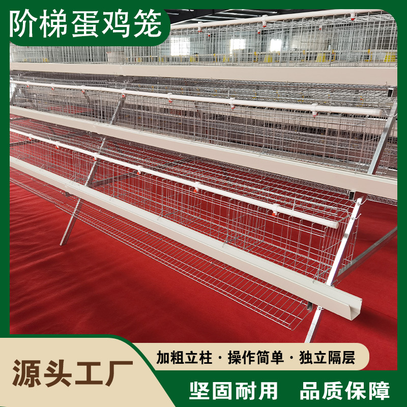 Jaula de huevas de escalones de tres capas de cuatro capas de jaula de huevas de escalones de tipo A accesorios de jaula de jaula de gallinas de huevas