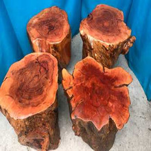 0J天然造型荔枝木原木根雕凳子花梨实木墩茶桌底座矮凳花架树墩凳