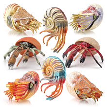 跨境仿真海洋生物寄居蟹鹦鹉螺模型儿童认知海底世界桌面摆件玩具