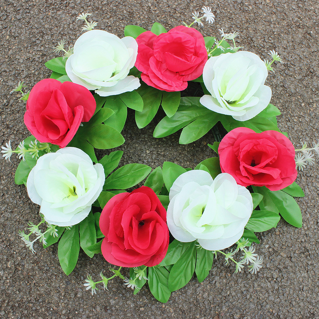 White rose pink