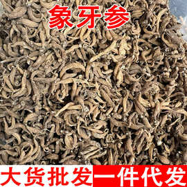 象牙参 孩儿参 非佛手参 手掌参 象牙参批发代发