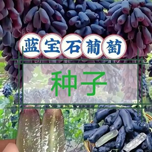 ����ָ�o�Ѻ������ј�N�Ӯ���Y�����{��ʯ���ѷN���ϱ����Nֲ��