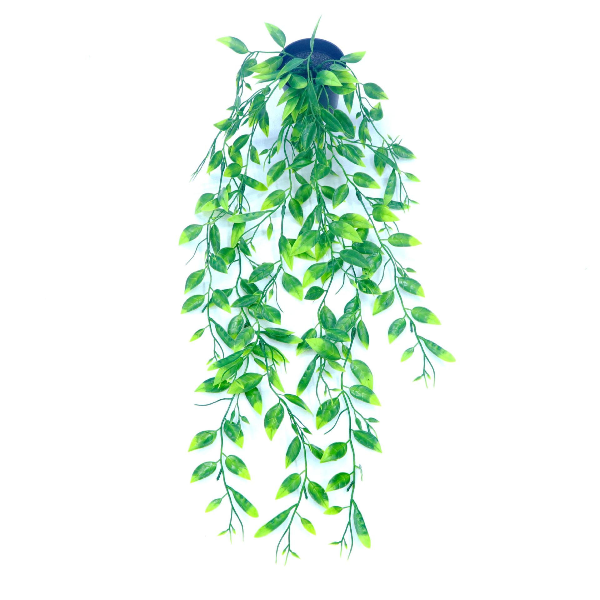 Simulación transfronteriza eucalipto ratán hojas de eucalipto Mandala guisantes colgando maceta planta verde esmerilado bonsai decorativo image 25