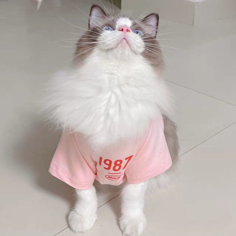 子猫服夏の薄手毛落ち防止半袖ぬいぐるみ青猫英短公猫子猫ペット服|undefined