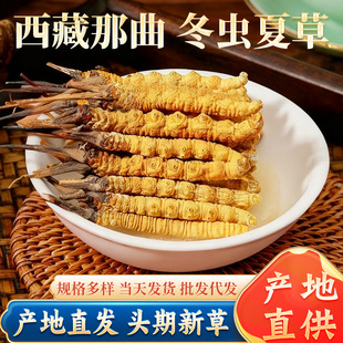 �����������x�Ĳ����r�^����x�����l�����x�ݸ�؛�ݾ����aƷ�x��