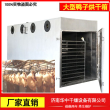 食品热烤鸭胚电加热烘干机 板鸭鸭舌循环烘箱鸭翅脱水风干机省电
