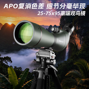 ��ƷPANDA25-75X95׃��ED�^�B�RAPO����ɫ���ڏ������^���^���R
