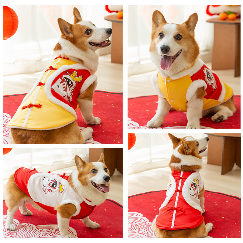 Otoño y invierno de Año Nuevo Keqi Tang traje de perro pequeño y mediano perro salchicha dos patas abrigo de algodón banco perro ropa de mascotas