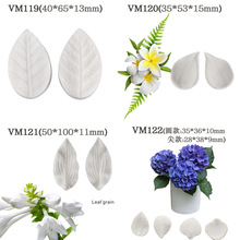 ������~�y·ģ�~�}ģ�� ���ǵ����b�ģ��Һ�B���zģ�ߺ決�þ�