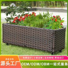 �羳�����Ӻ���ֲ���ٱ໨�� ��̨�ֲ��軧����԰�����ٱ���ֲ��