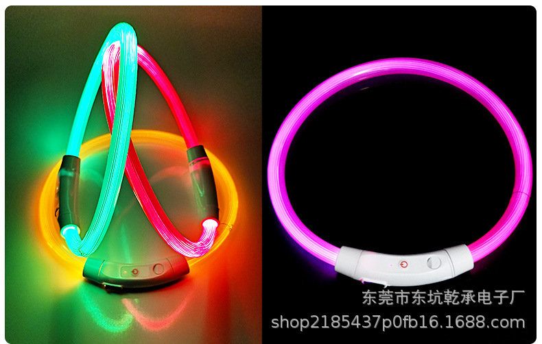 Dog collar glow