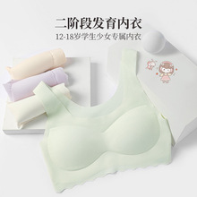 合升隆2024新款二阶段少女发育期内衣宽肩带无痕固定杯少女文胸