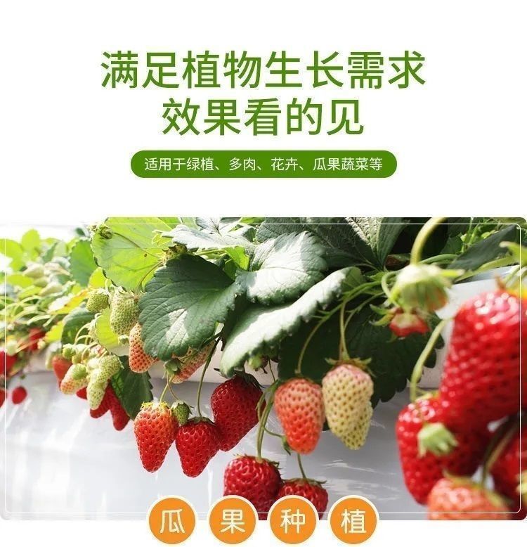 c041e230-be20-4706-aeb6-a5a183acc2ca.jpe