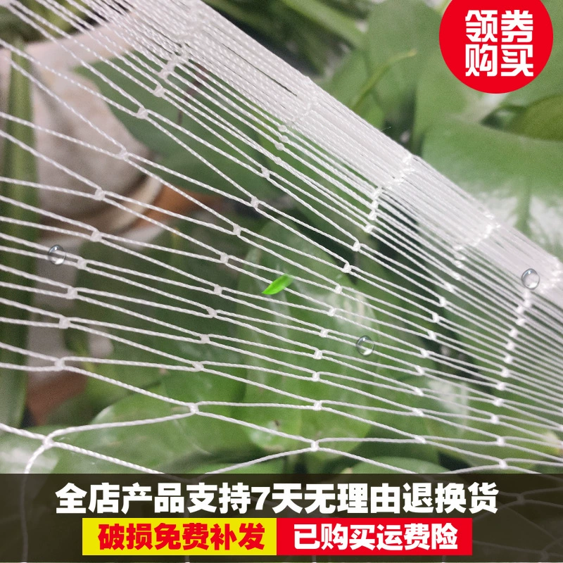 Нейлоновая мультифиламентная сетка от птиц для виноградников, сетка от птиц для сливовых садов, рыбных прудов, разведения лягушек и лошей, защитная сетка для садов.
