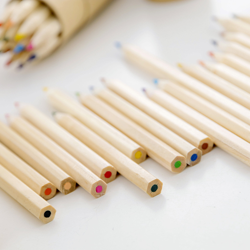 Los estudiantes de primaria creativos ganan un lápiz de color en barril para niños principiantes 12 colores pintura graffiti impresión de logotipo de plomo