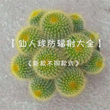 ����ֲ���������ư���z�����ָ���^��ڷ�ݗ�����⻨������