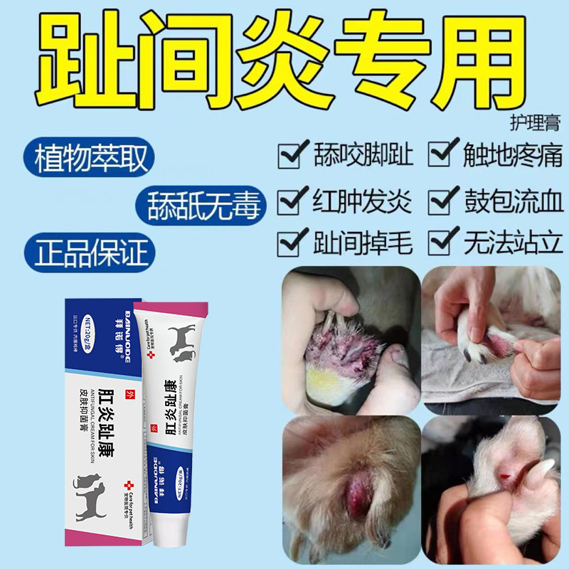 犬の足指炎、指炎、指先炎、真菌感染症、足指の腐敗、赤み、腫れ、潰瘍、抗菌・かゆみ止めの特殊外用薬|undefined