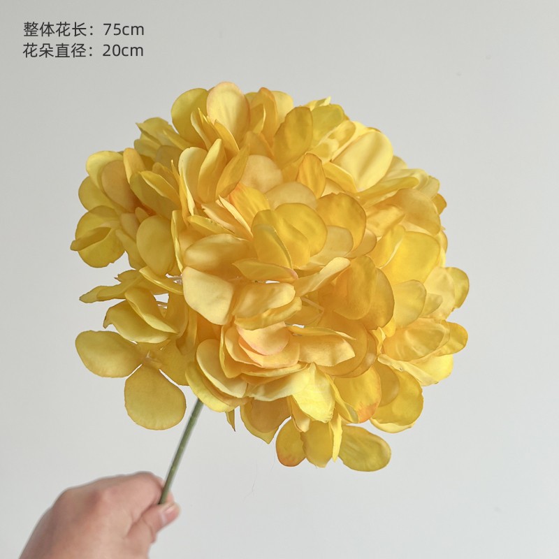 黄色面包绣球.jpg