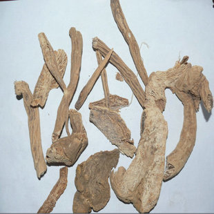 ���ϸ�,���ϸ����e�������ϡ����ϡ����ɏ��ș��