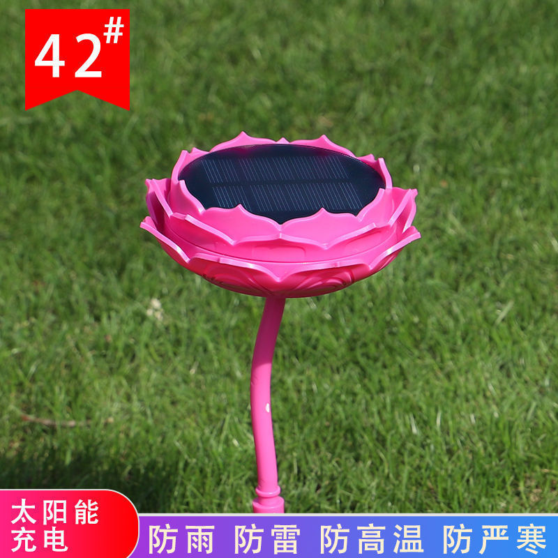 42 핑크 리틀 솔라