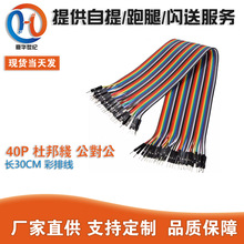 SֱN | 40P Ű  L30CM ž