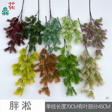 ����  ѩ��ë�q�� ��c��Y�ò廨�b��� �҃ȼҾ���ؔ[�żٻ�